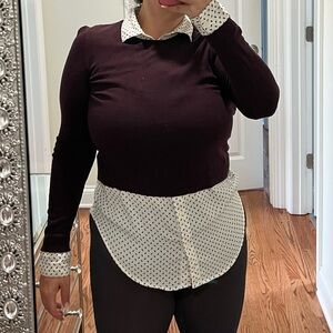 Ann Taylor Collared Women's Top